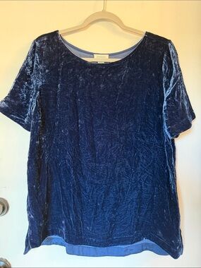 Sundance rayon silk crushed Velvet Short Sleeve Top Southwest Boho blue medium